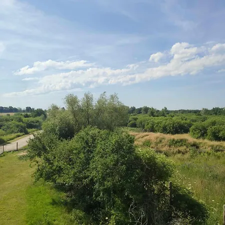 Torfu בית נופש *