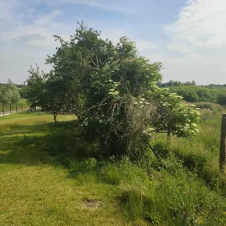 בית נופש Torfu *